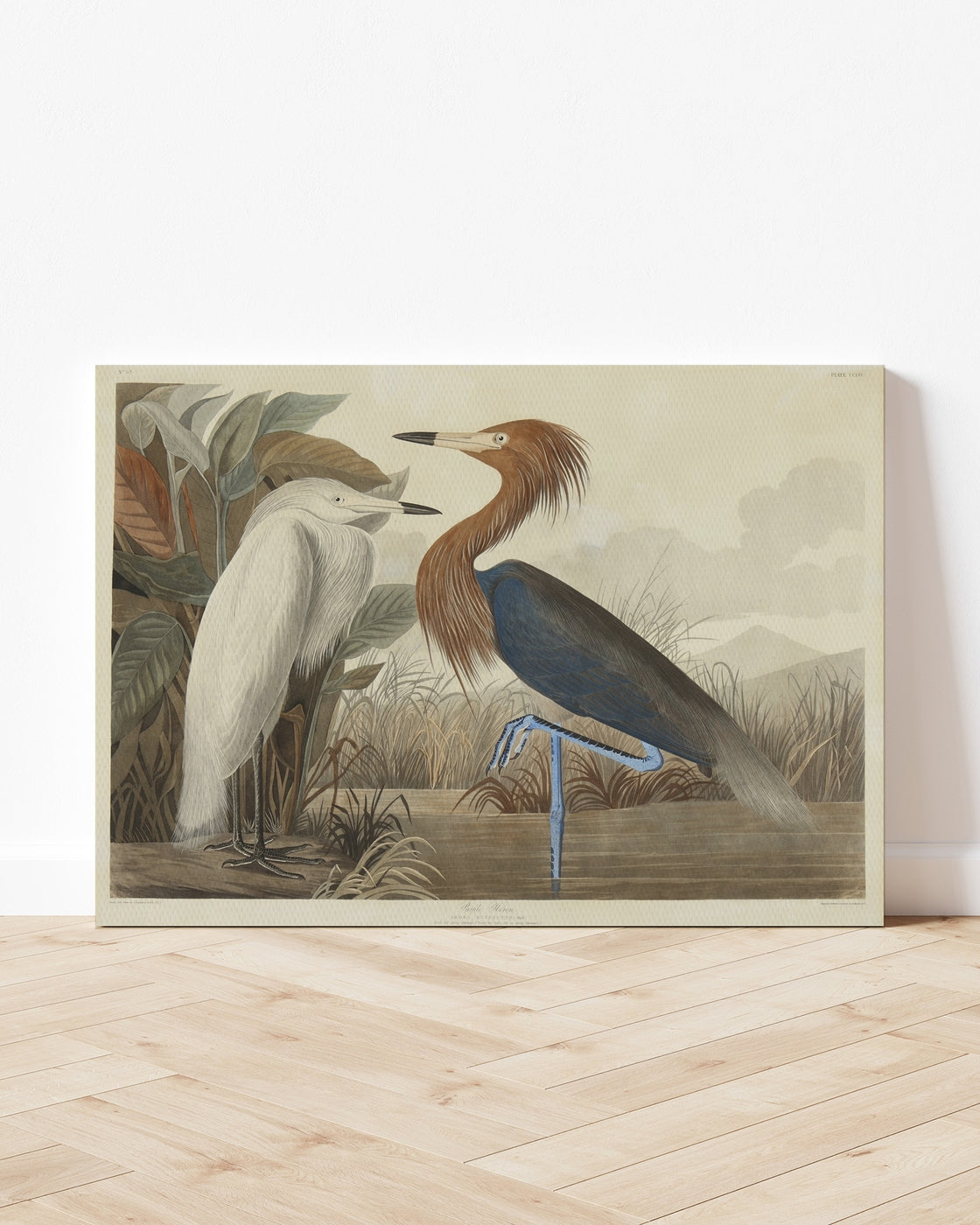 stretched-canvas