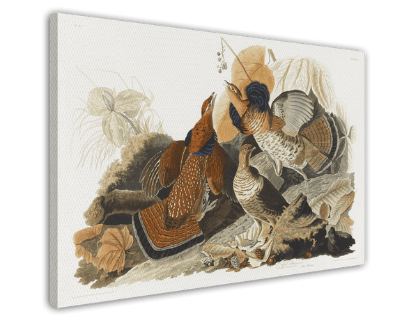 John James Audubon - Rebhühner auf Nahrungssuche