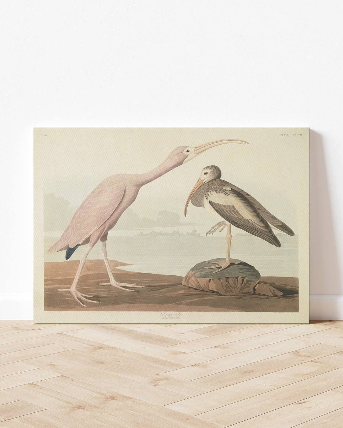 stretched-canvas