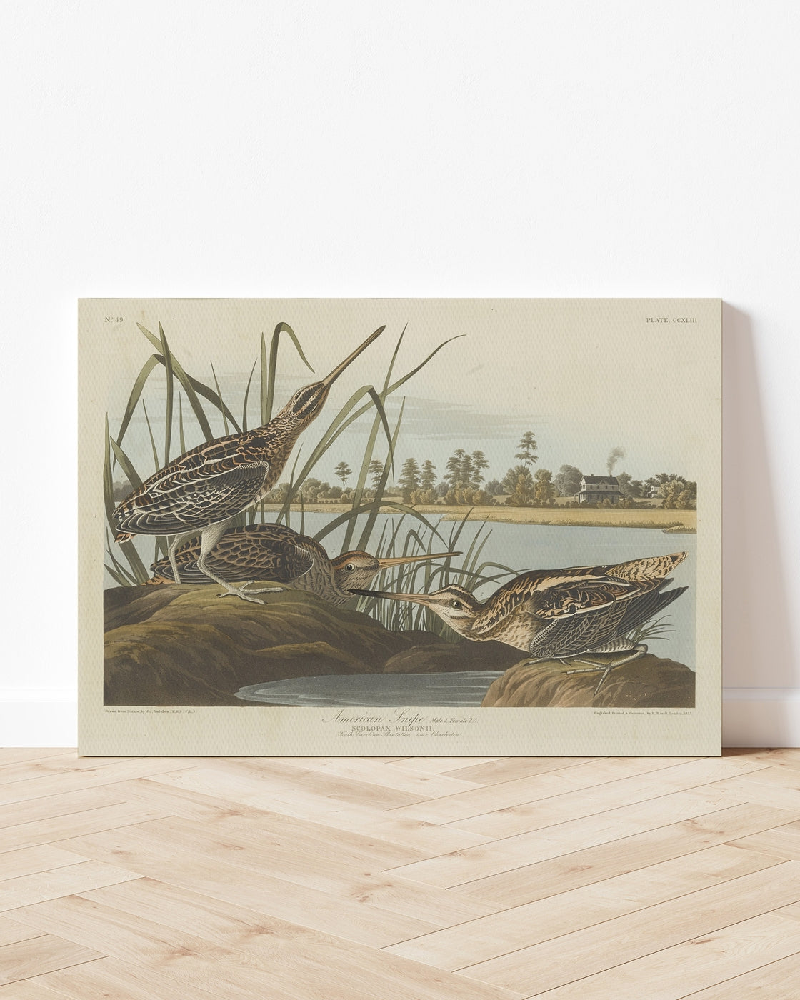 stretched-canvas