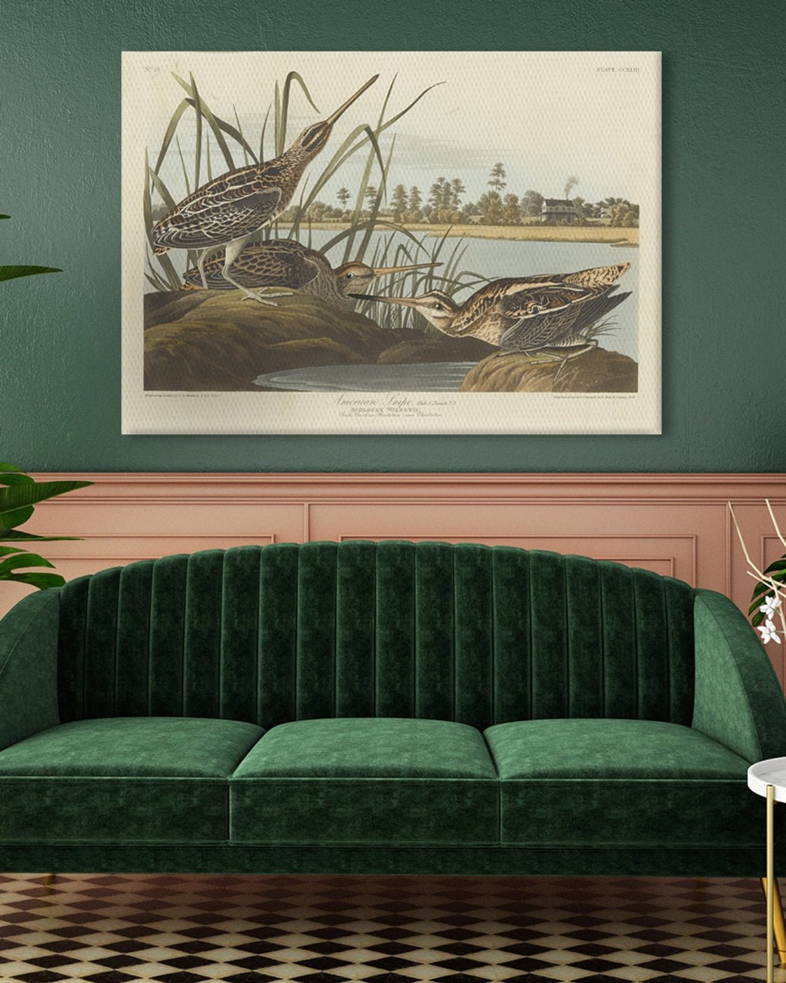 stretched-canvas