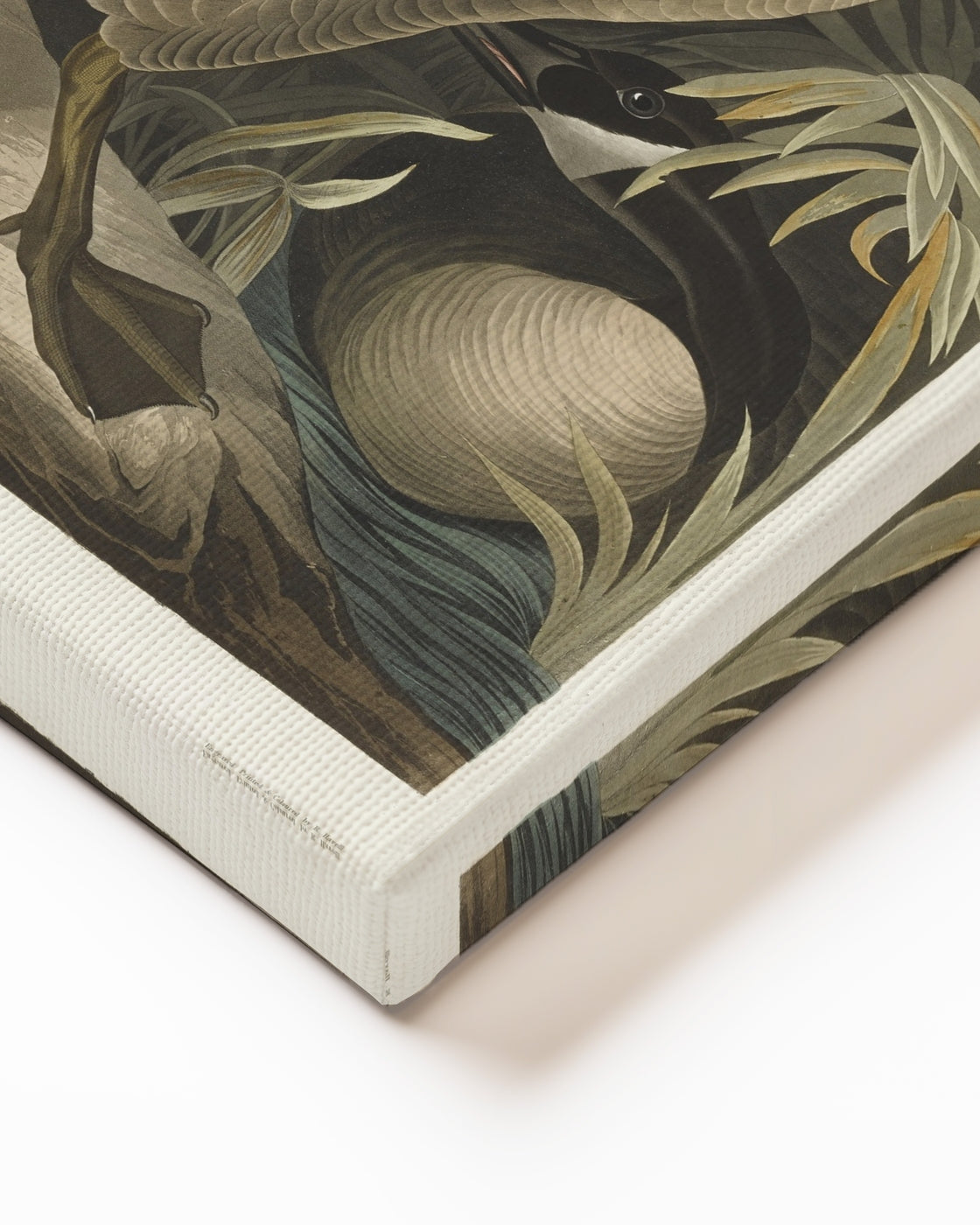 stretched-canvas