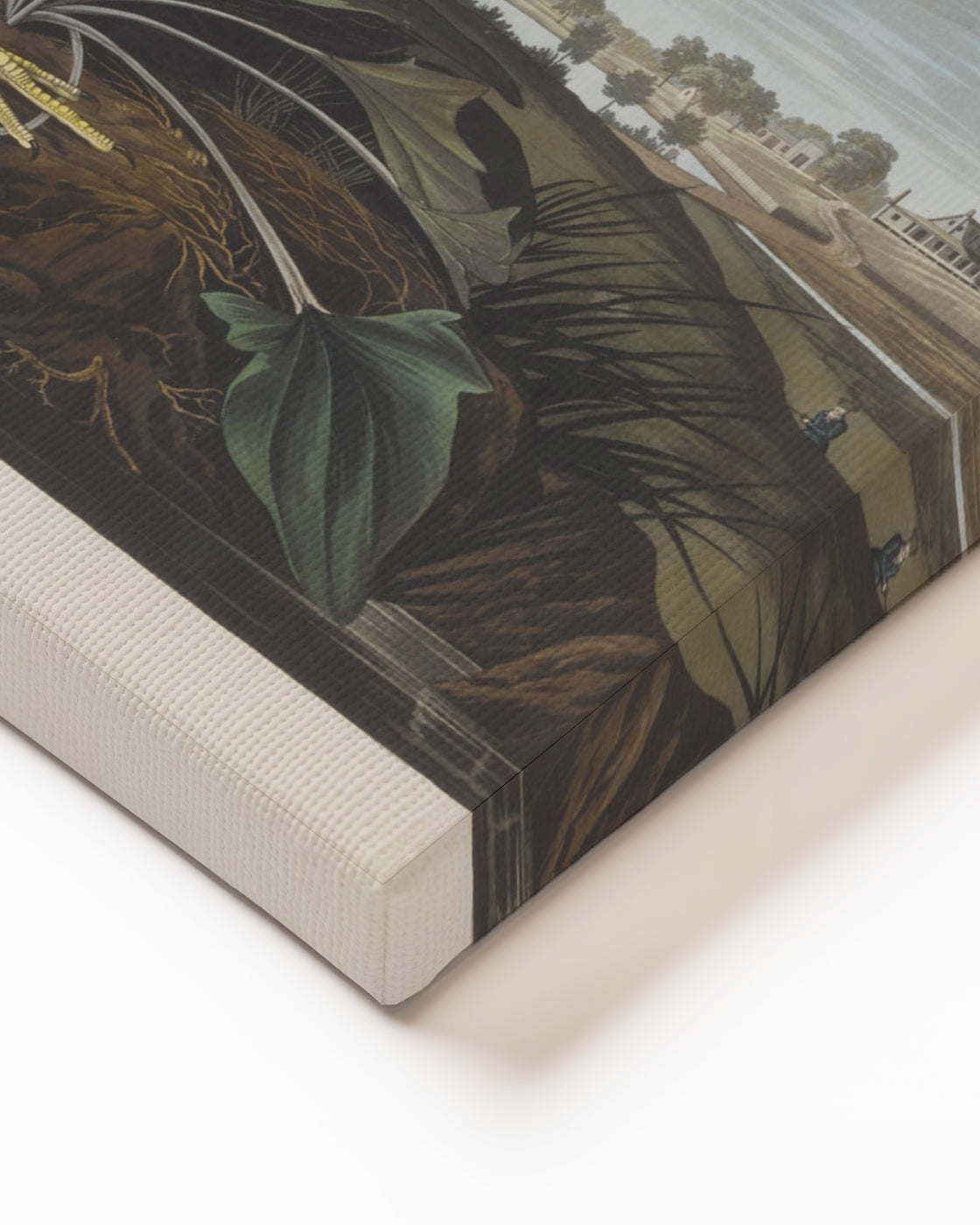 stretched-canvas