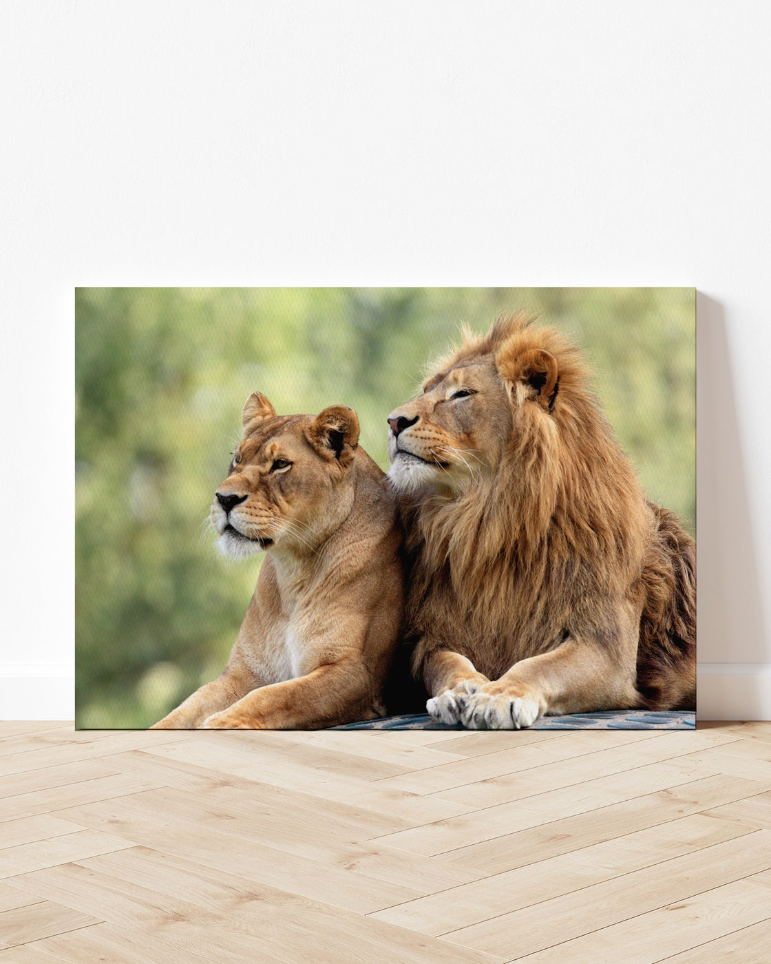 stretched-canvas