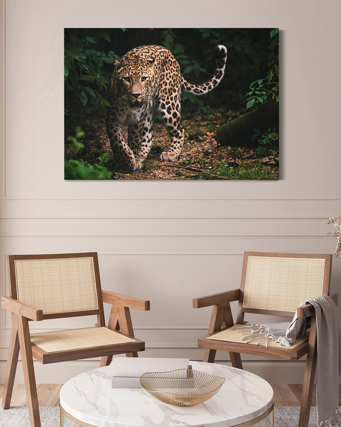 stretched-canvas