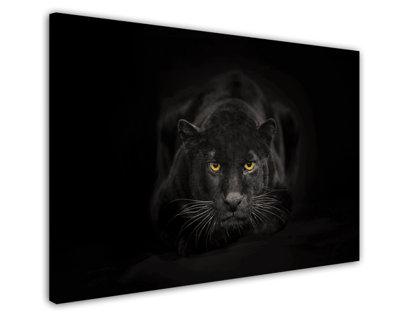 Schwarzer Panther auf schwarzem Hintergrund