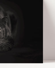 After Hover: Black panther on a black background