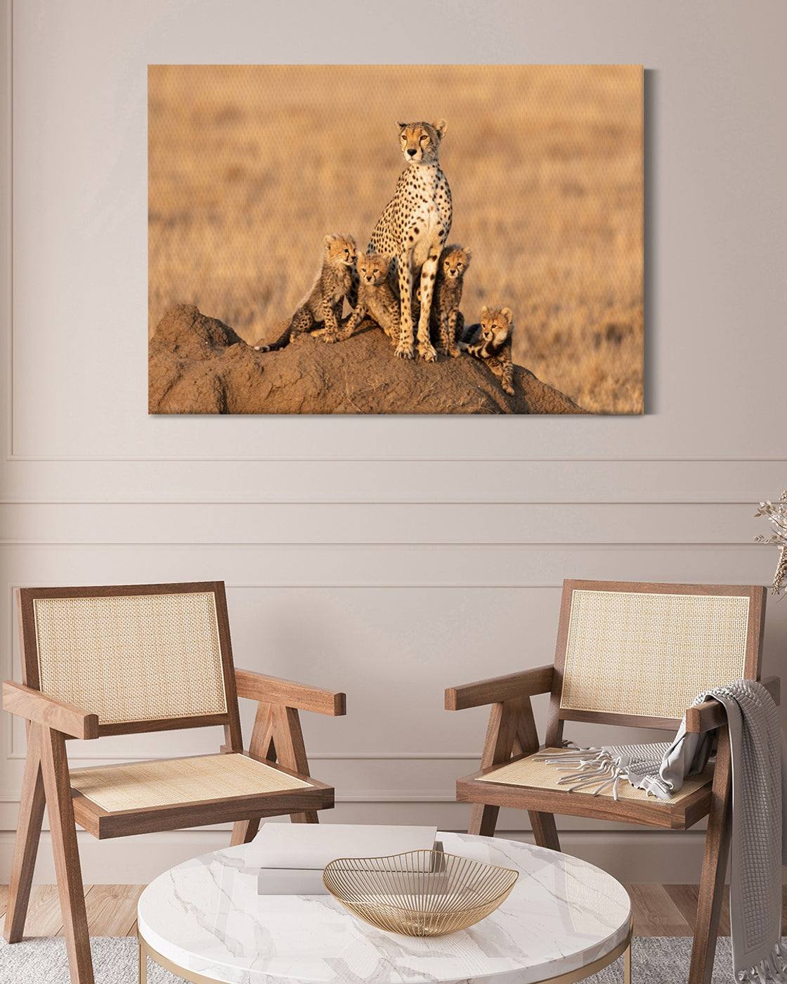 stretched-canvas