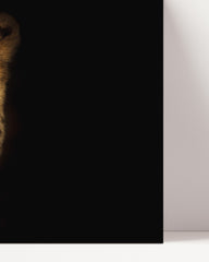 After Hover: Cheetah - Portrait