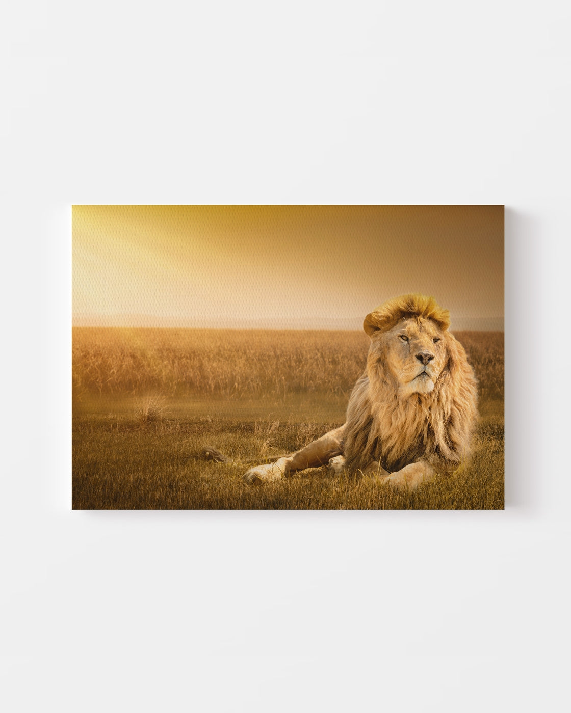 stretched-canvas