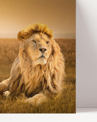 After Hover: Lion in the savannah