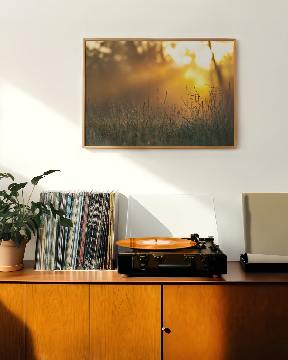 canvas