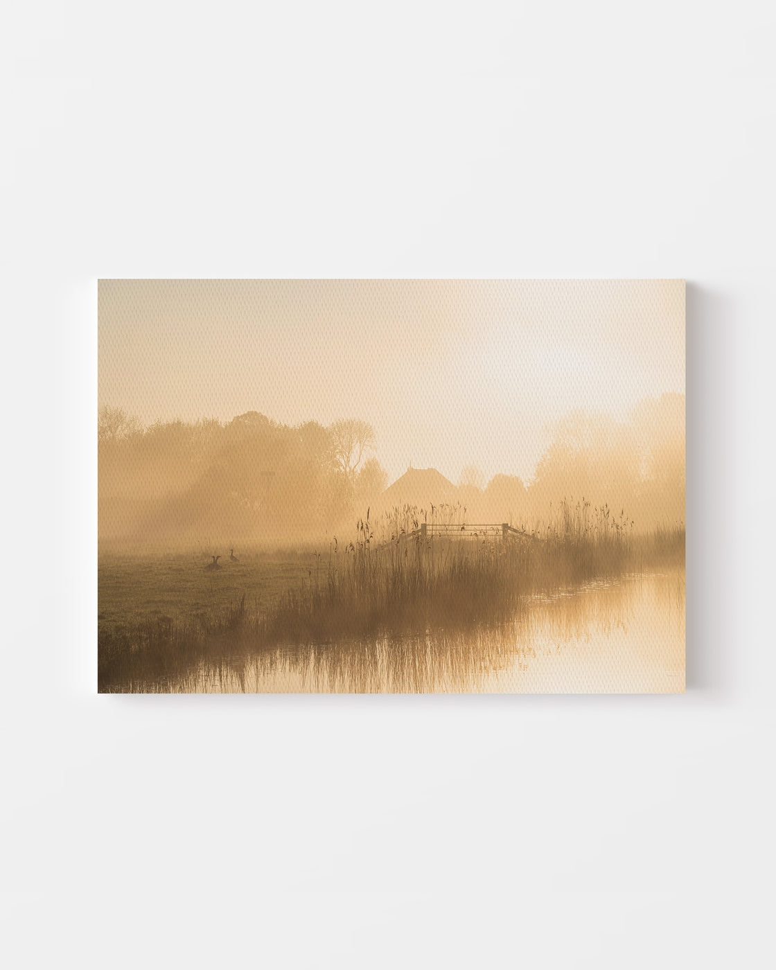 stretched-canvas