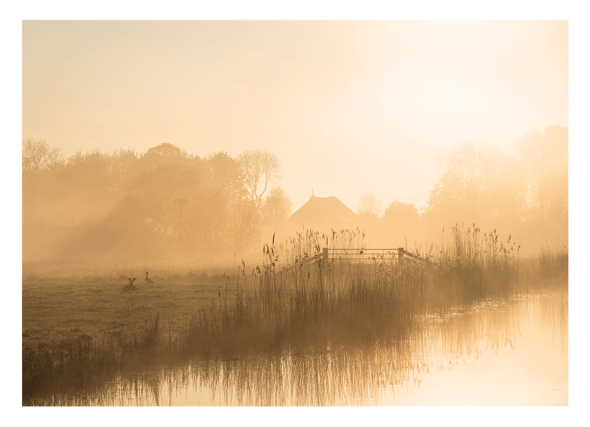Landschaft im Nebel