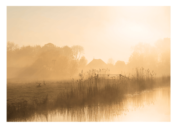 Landschaft im Nebel