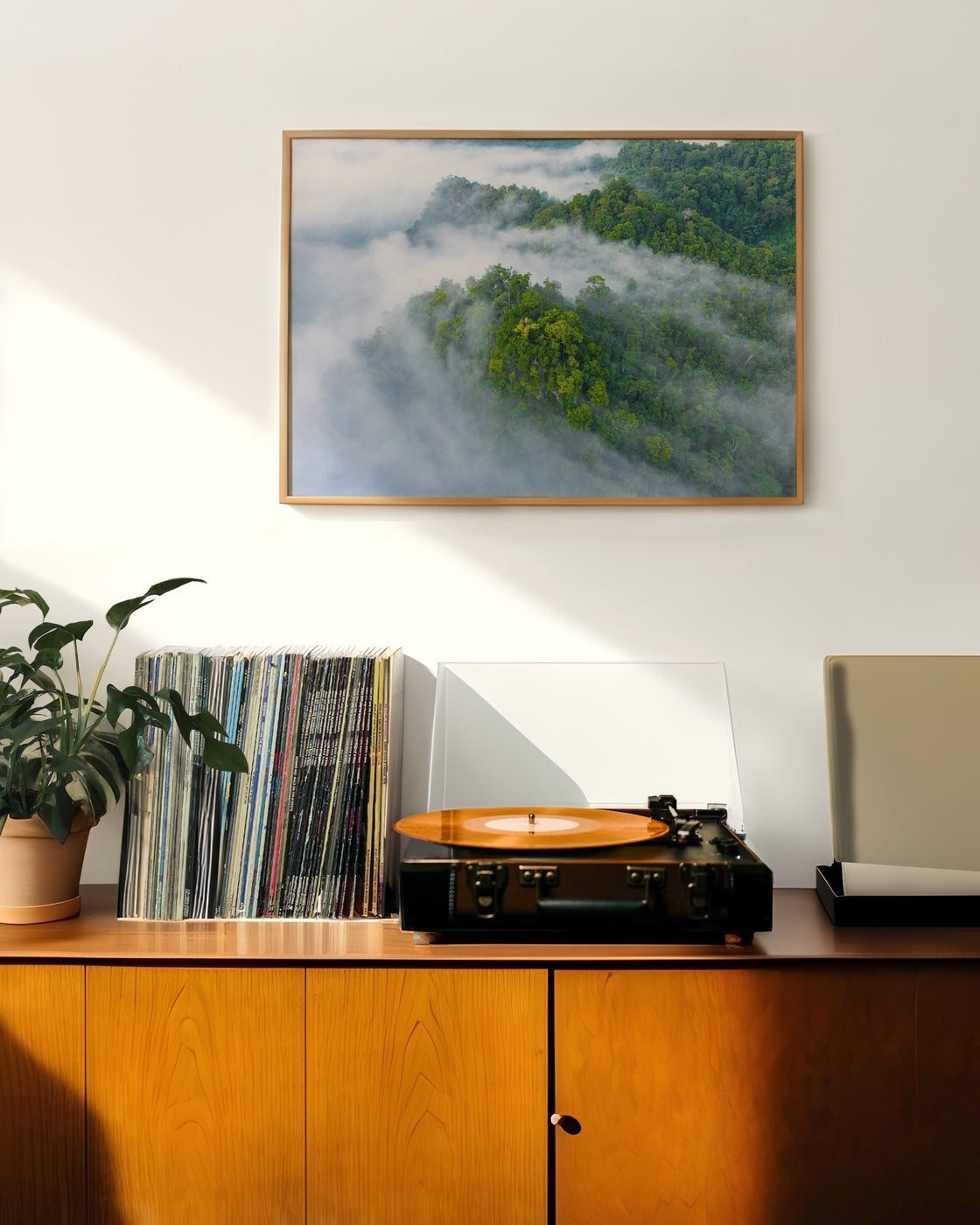 canvas