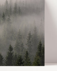 After Hover: Forest in the fog