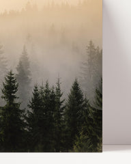 After Hover: Trees in the fog