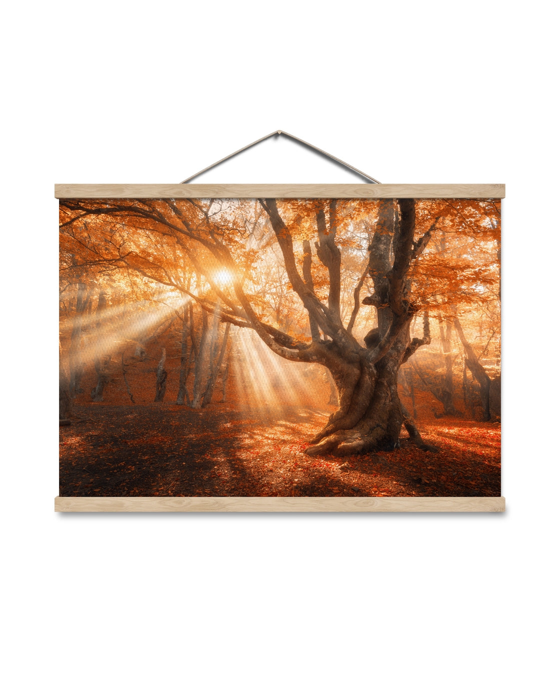 canvas