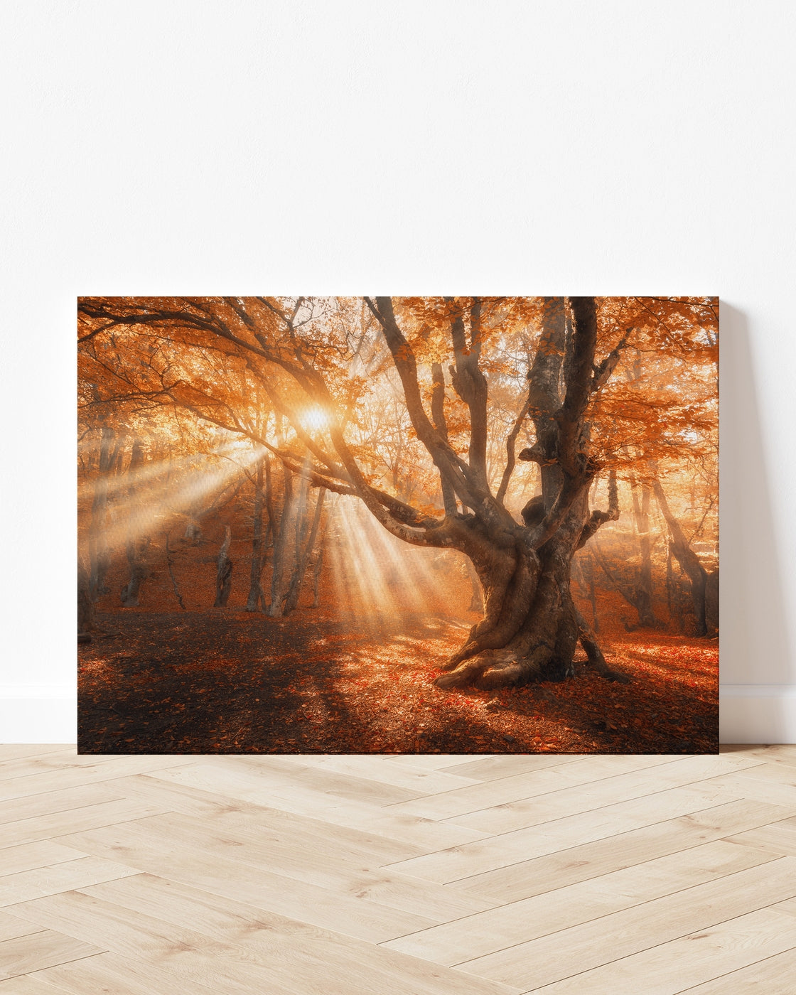 stretched-canvas