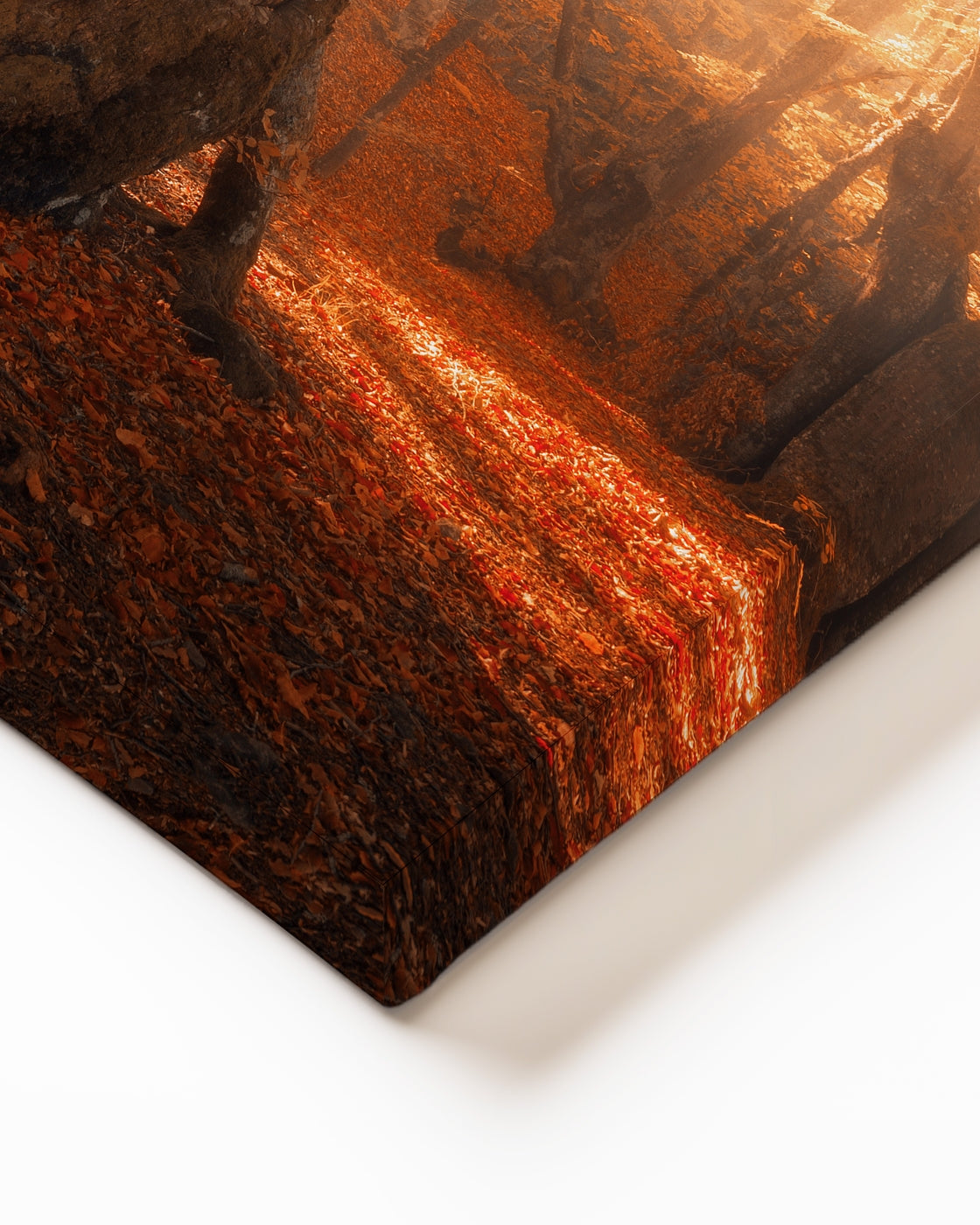 stretched-canvas