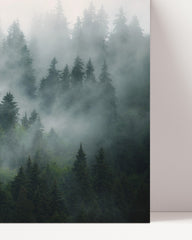 After Hover: Trees in the fog