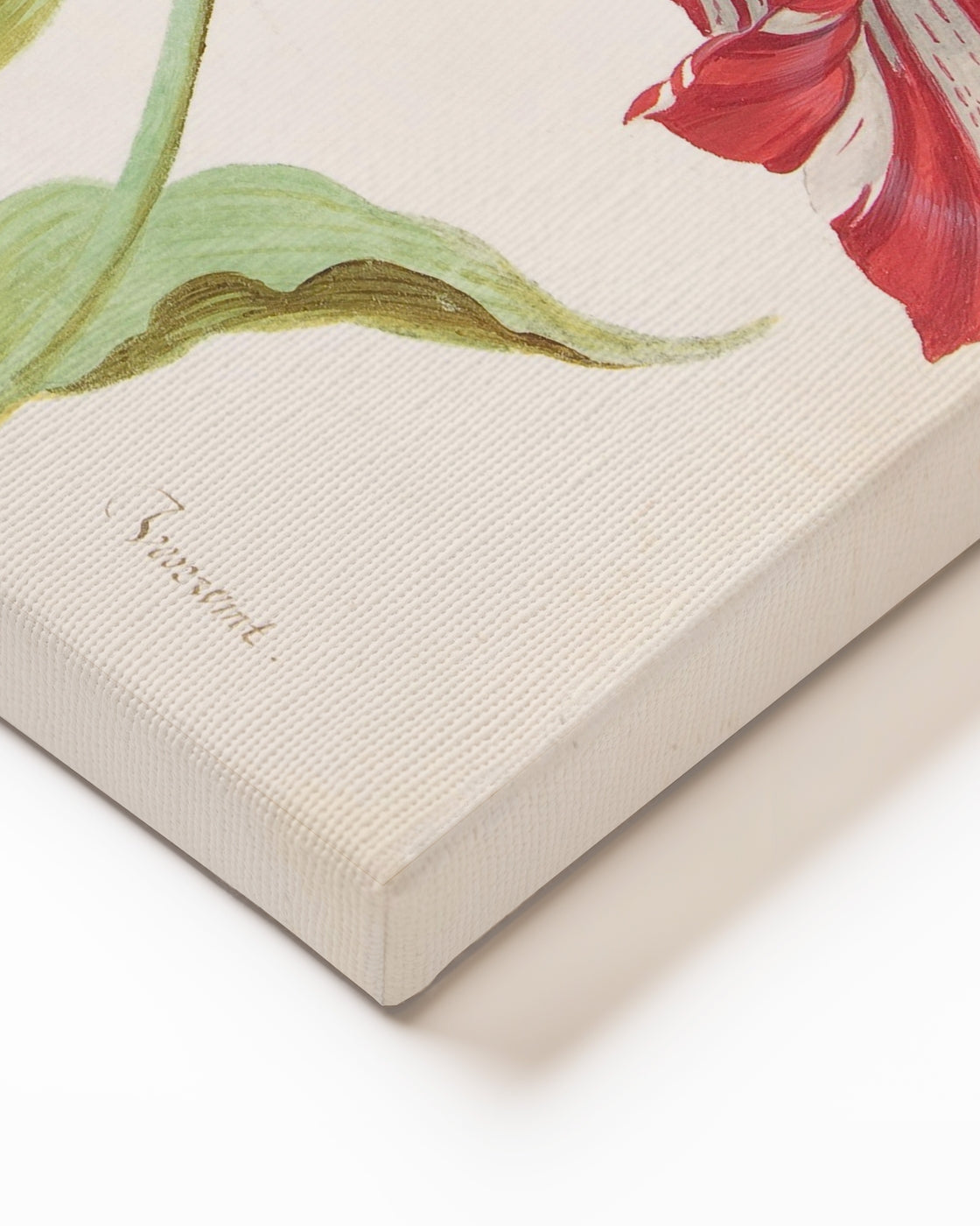 stretched-canvas