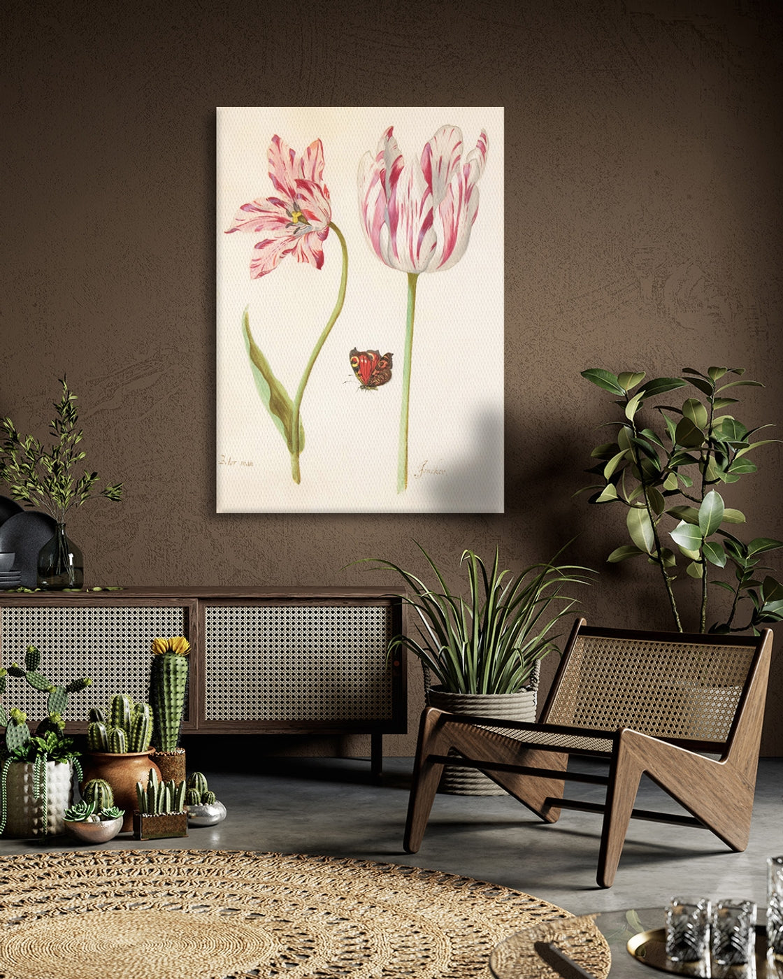 stretched-canvas