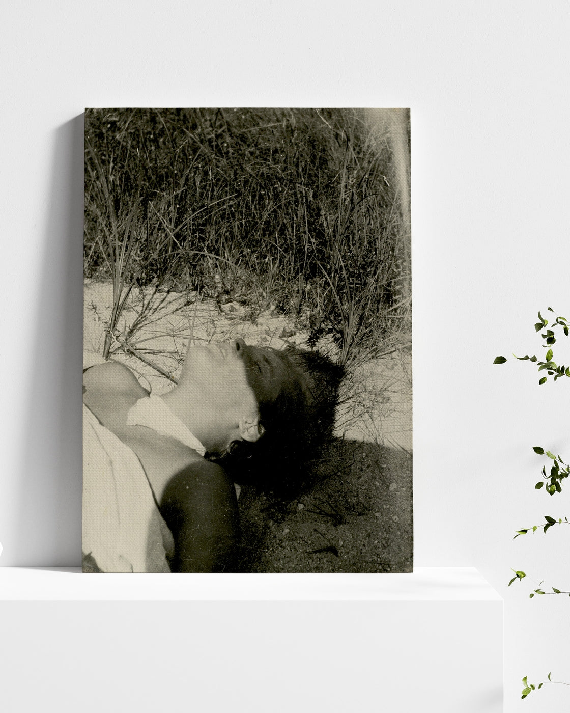 stretched-canvas