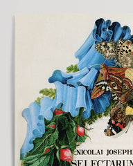 After Hover: Flower wreath with butterflies