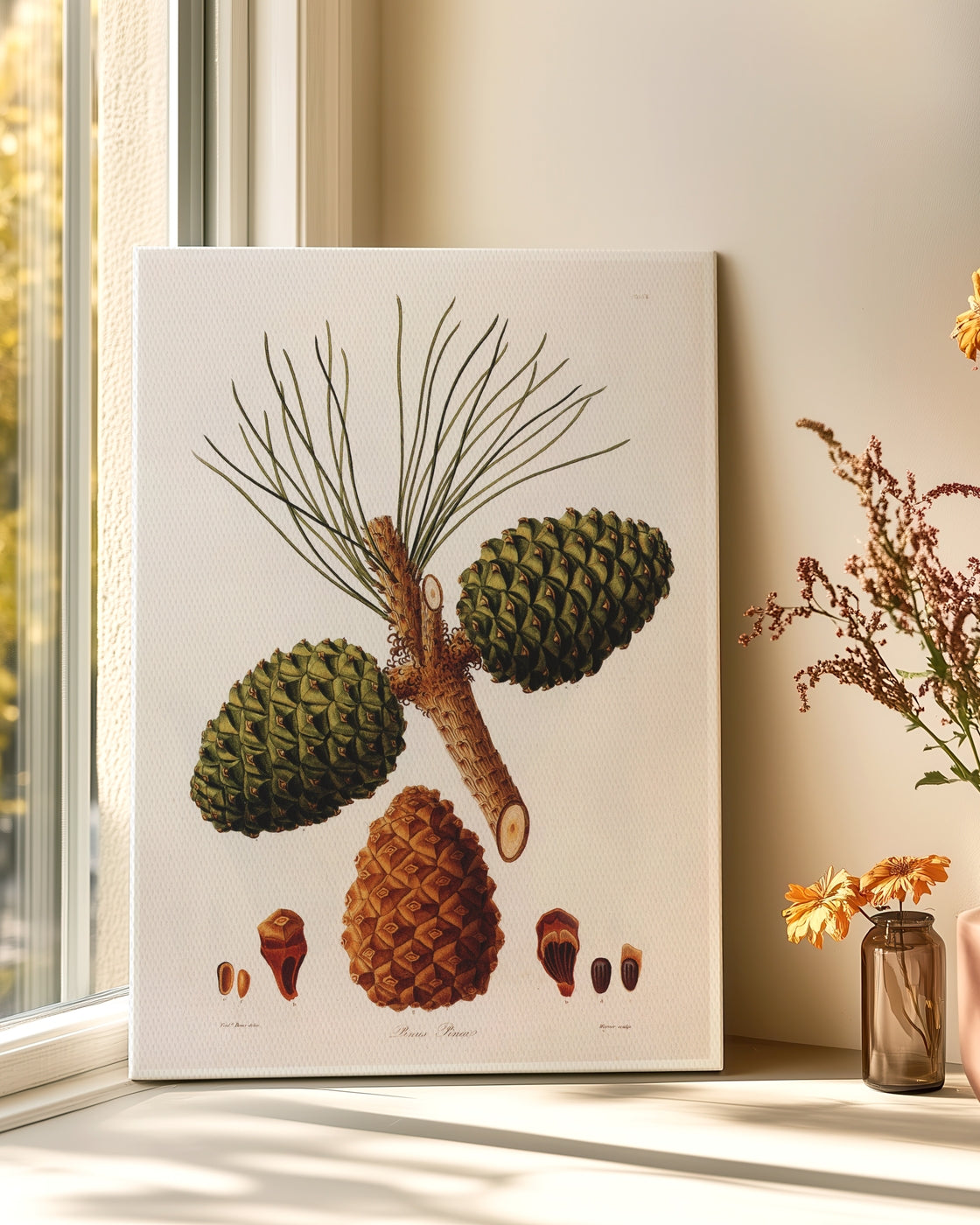 stretched-canvas