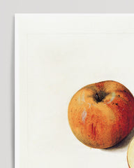 After Hover: Pearmain Royal - Parma Apple