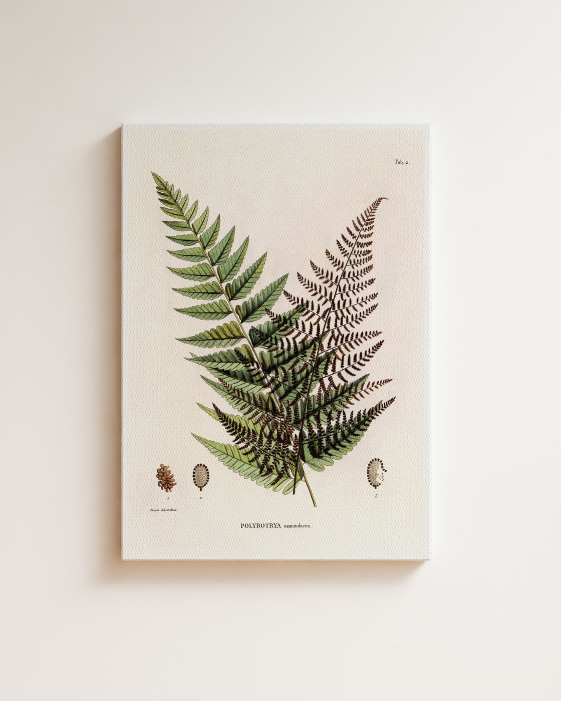 stretched-canvas