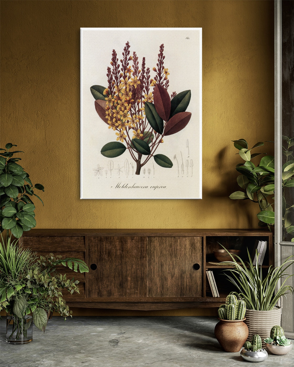 stretched-canvas