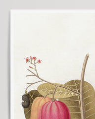 After Hover: Plant with red fruits and flowers