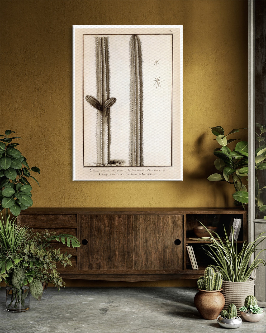 stretched-canvas