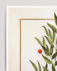 After Hover: Houx Frelon - Holly