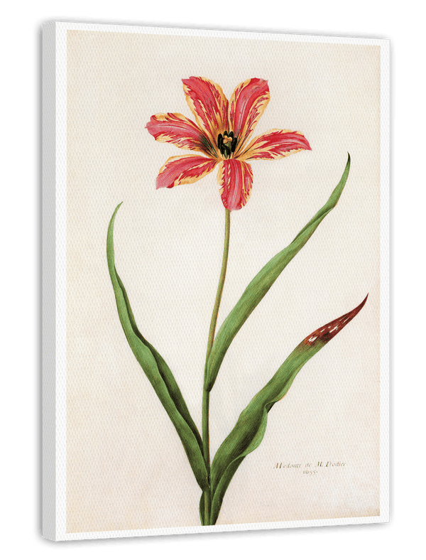 Blume mit orangenem Blüten-Muster - Botanischer Kunstdruck
