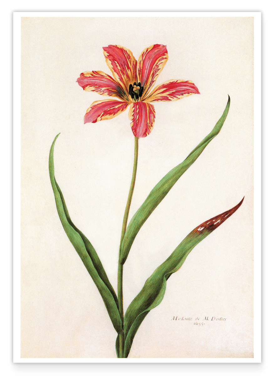 Flower with orange blossom pattern - Botanical art print