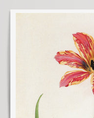 After Hover: Flower with orange blossom pattern - Botanical art print