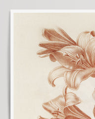 After Hover: Flower drawing