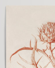 After Hover: Drawing of a thistle