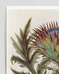After Hover: Cinera Cum Flore - Thistle flower