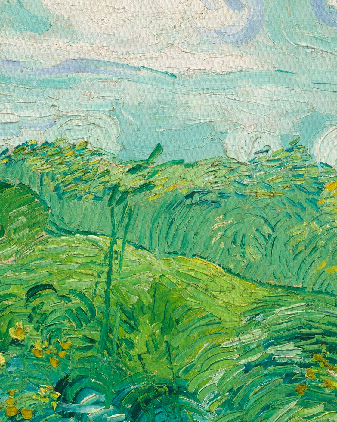 canvas