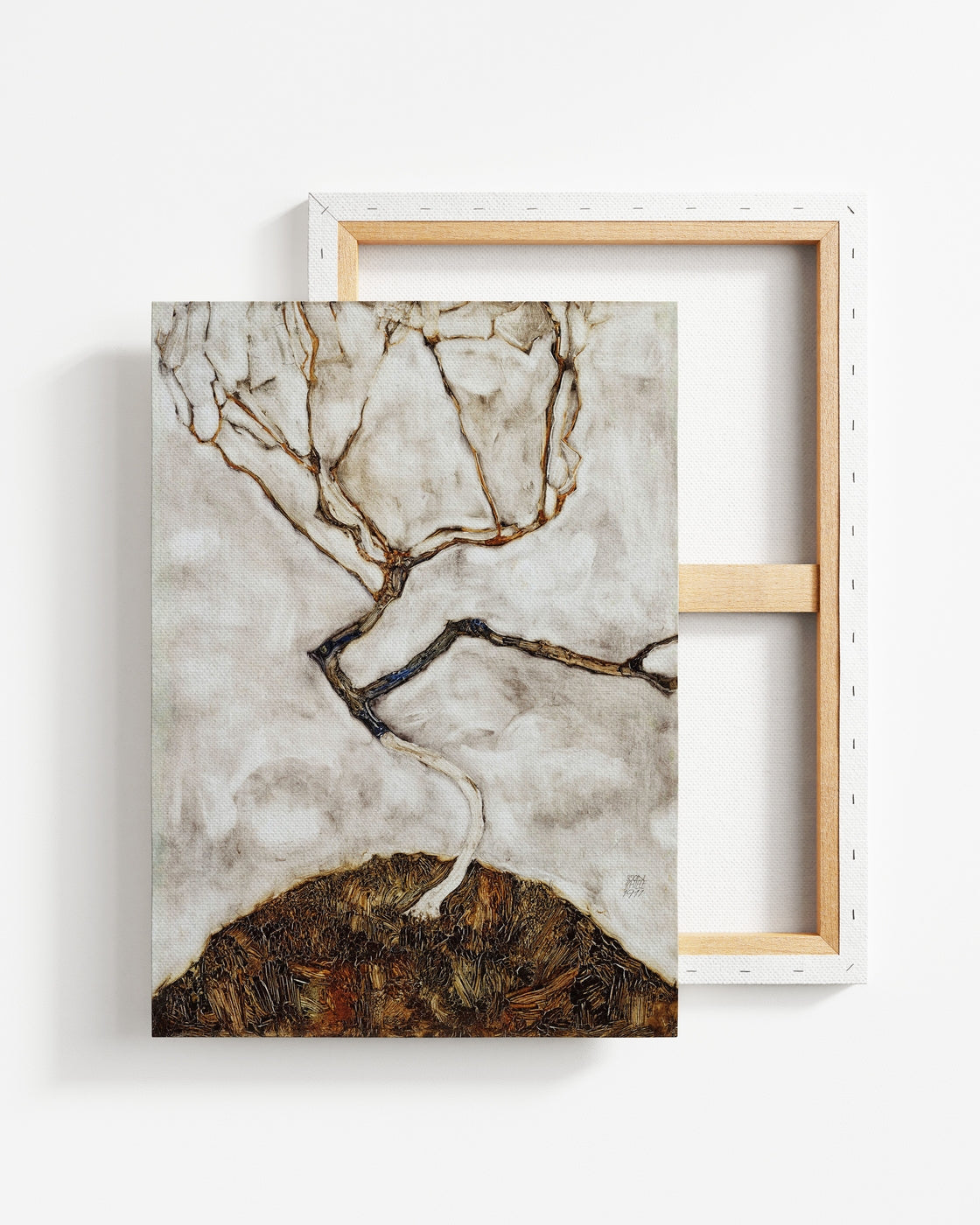 stretched-canvas