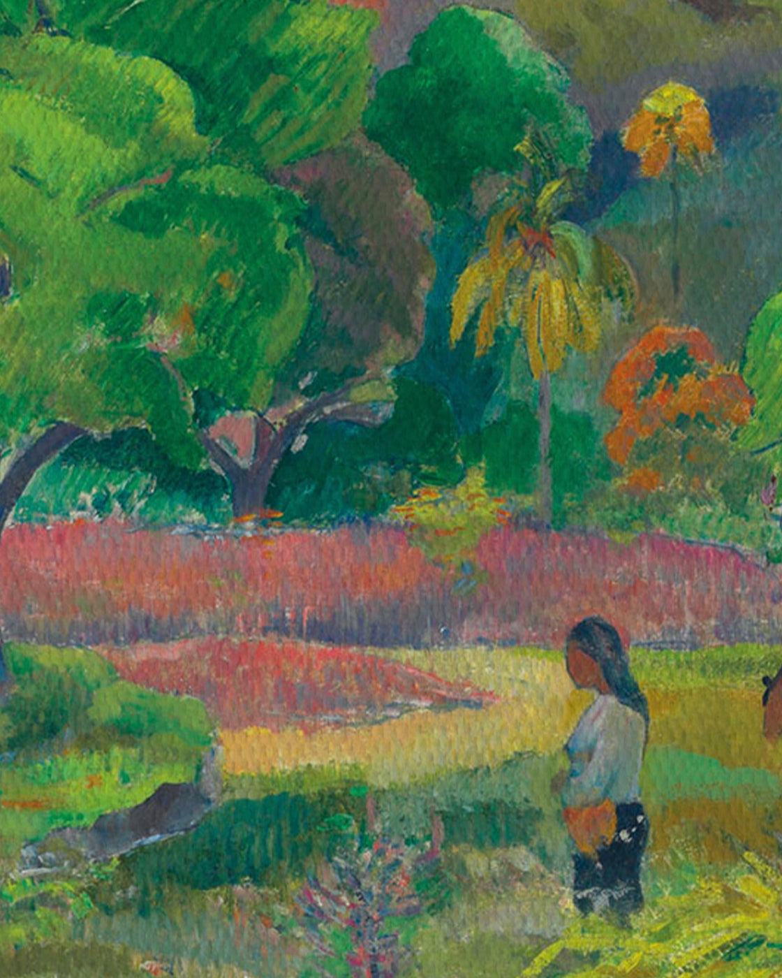 canvas