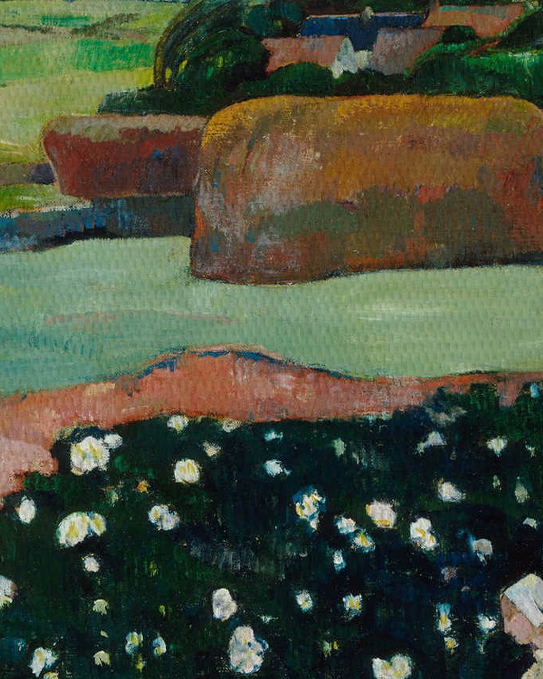 canvas