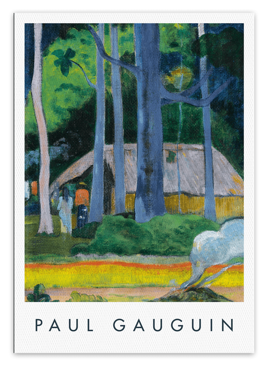 canvas