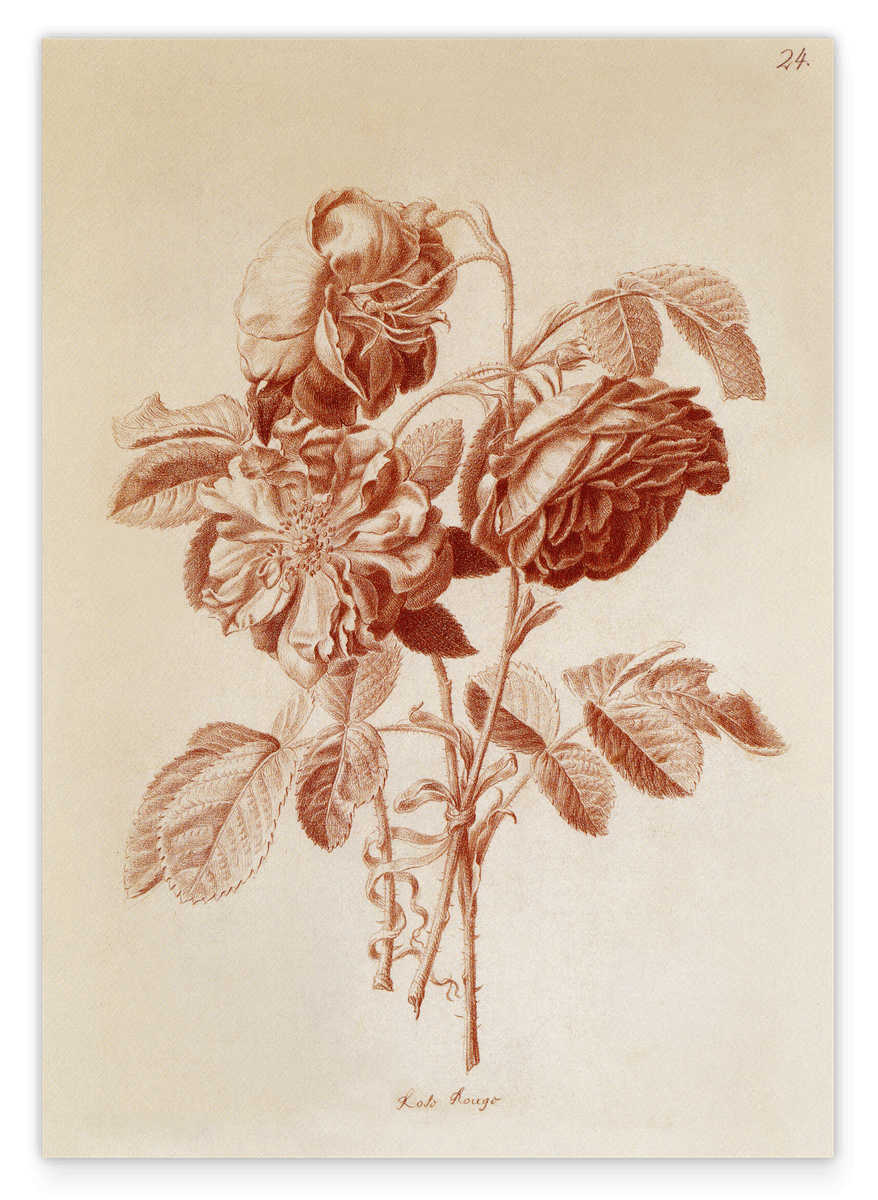 Blumenzeichnung