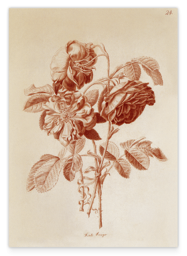 Blumenzeichnung